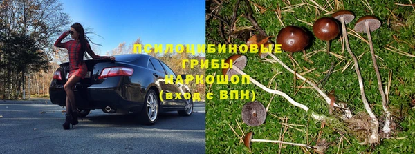 дживик Шали