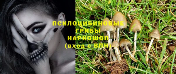 бутират Козловка