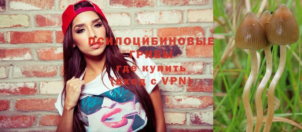 бутират Козловка